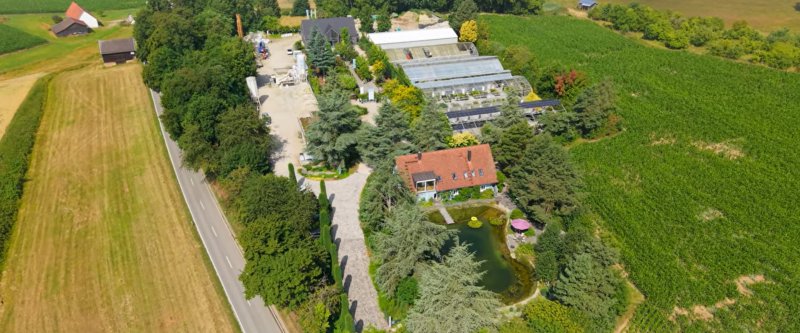 koenigsguetler_drohnen_screenshot